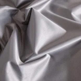 Lavish-FR Fossil thumbnail 2