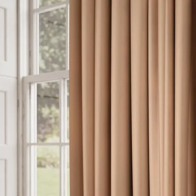 SHUTEYE PUMPKIN thumbnail 5