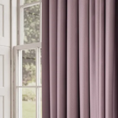 SHUTEYE THISTLE thumbnail 5