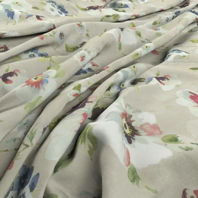 AMELIA CASSIS thumbnail 3