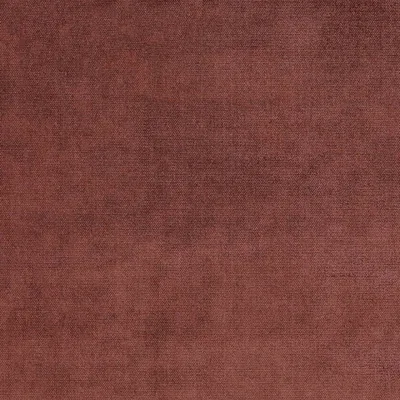 BOTEGA SHELL thumbnail 3