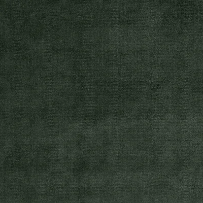 BOTEGA SPRUCE thumbnail 3