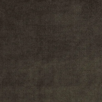 BOTEGA TIMBER thumbnail 3