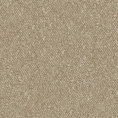 ANDES NOUGAT thumbnail 3