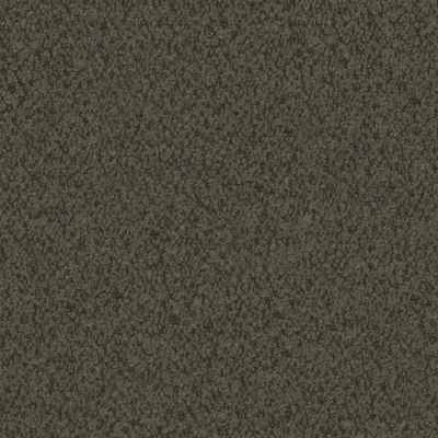 EVEREST EARTH thumbnail 3