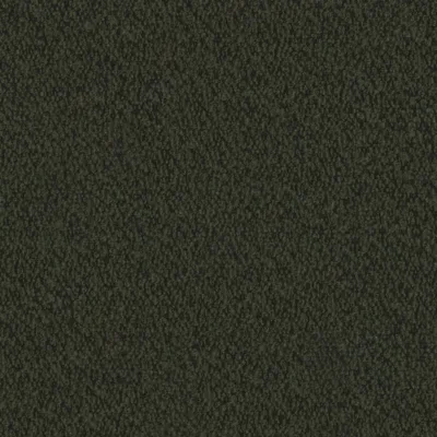 EVEREST FERN thumbnail 3