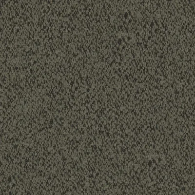 EVEREST LICHEN thumbnail 3