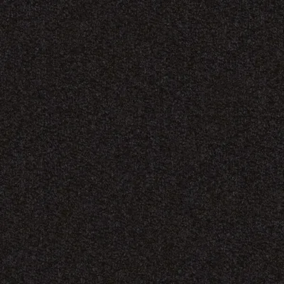 EVEREST ONYX thumbnail 3