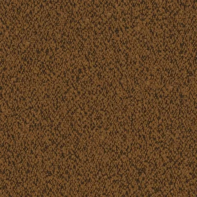 EVEREST SPICE thumbnail 3