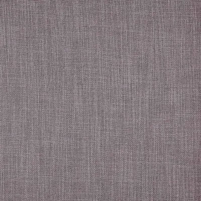 CALAIS WISTERIA thumbnail 3