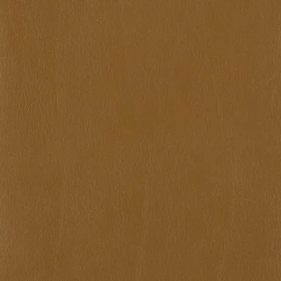 CALF AMBER — CALF swatch, view 1