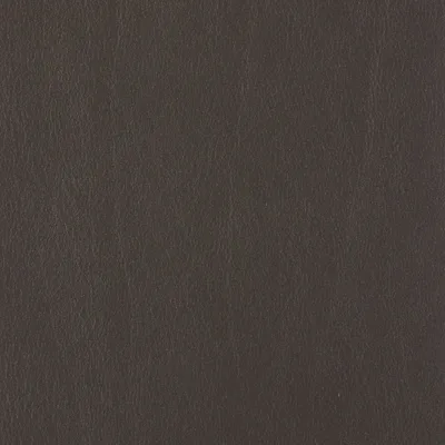 CALF ESPRESSO swatch