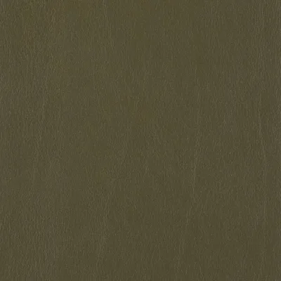 CALF FOREST thumbnail 2