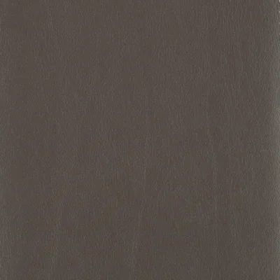 CALF SLATE thumbnail 2