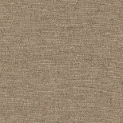 Cambridge Elder thumbnail 3