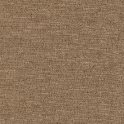 Cambridge Nutmeg thumbnail 3