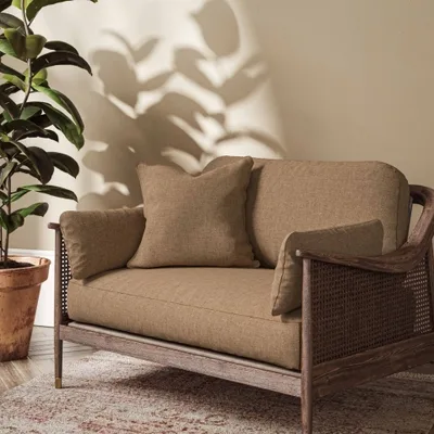 Cambridge Nutmeg thumbnail 4