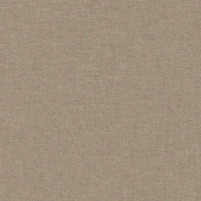 Cambridge Obscura thumbnail 3