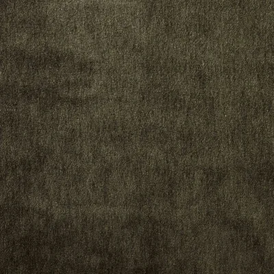 CAPE-MOHAIR FIR thumbnail 3