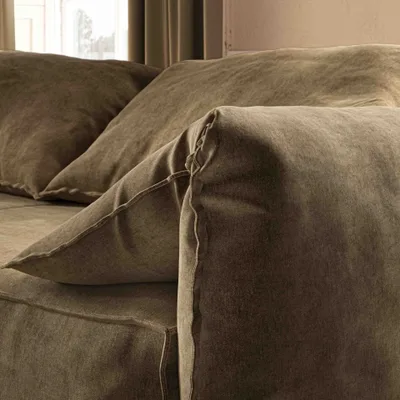 CAPE-MOHAIR LICHEN thumbnail 4