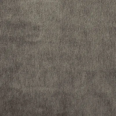 CAPE-MOHAIR MOLE thumbnail 2