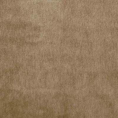 CAPE-MOHAIR PAPYRUS thumbnail 3