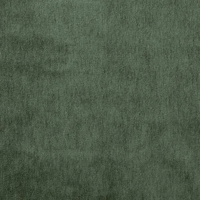 CAPE-MOHAIR THYME thumbnail 3