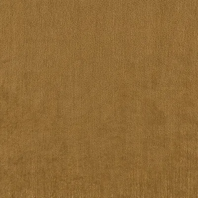 CECCONI HONEY thumbnail 3