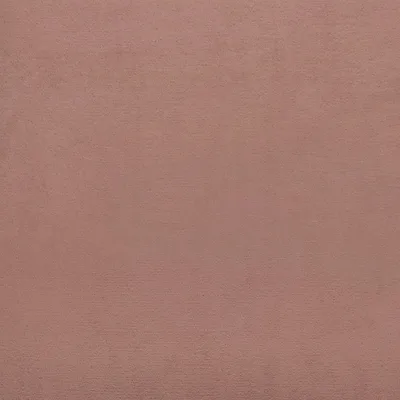 CECCONI ROSE thumbnail 3