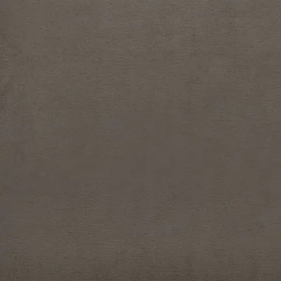 CECCONI TAWNY thumbnail 3