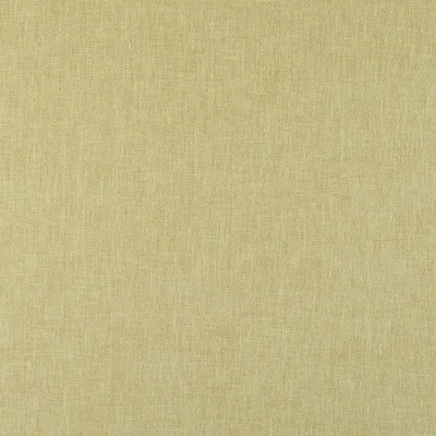 CHAMBRAY APPLE thumbnail 2