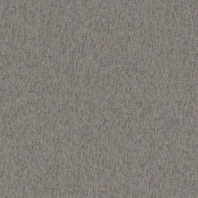 ROCHE STORM thumbnail 3