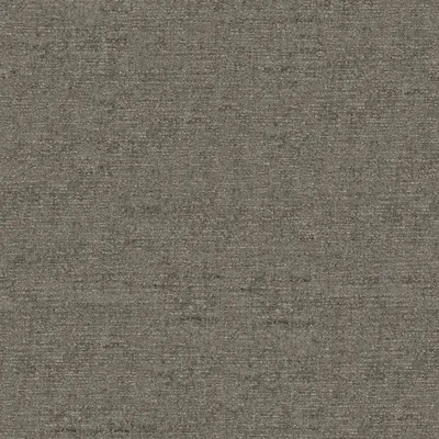 CIAGA LICHEN thumbnail 3