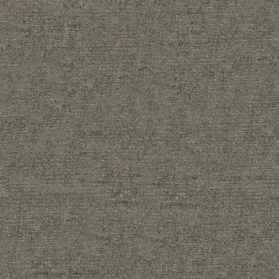 CIAGA MOSS thumbnail 3