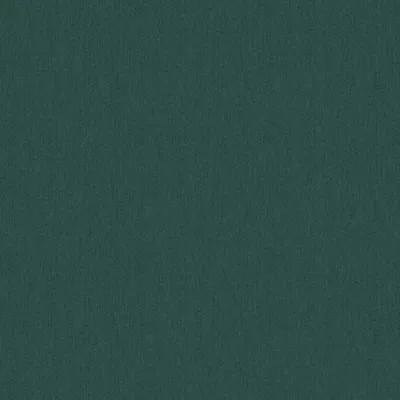 COMFY FOREST thumbnail 3