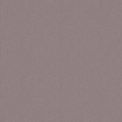 COMFY SHELL thumbnail 3