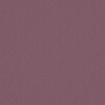 COMFY THISTLE thumbnail 3