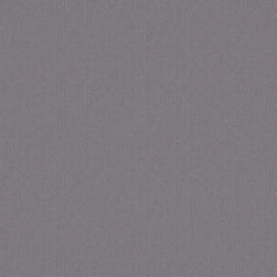 COMFY WISTERIA thumbnail 3