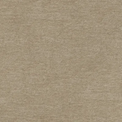 Como Egret thumbnail 3