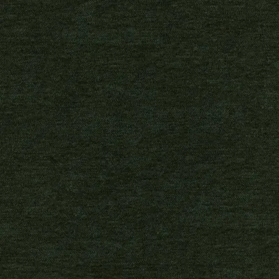 Como Forest thumbnail 3