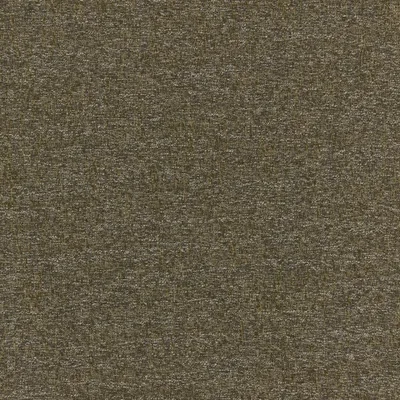 DENALI MOSS thumbnail 3