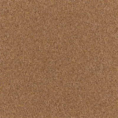 DENALI OCHRE thumbnail 3