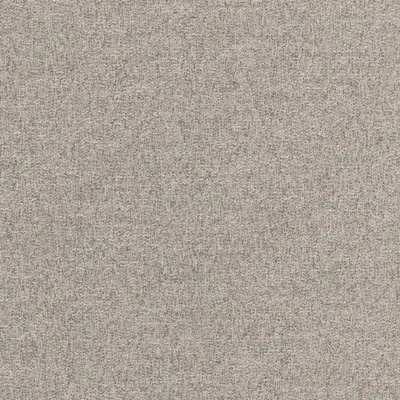 DENALI SILVER thumbnail 3