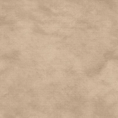 DOLCE BISCUIT thumbnail 3