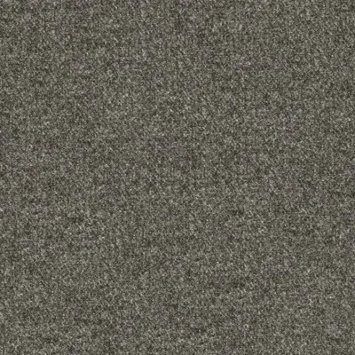 DOLLY ASH thumbnail 3