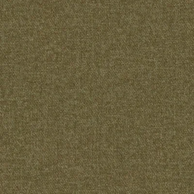 DOLLY TUNDRA thumbnail 3