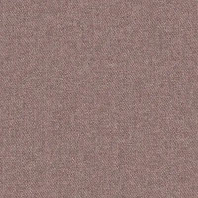 DOLLY THISTLE thumbnail 3