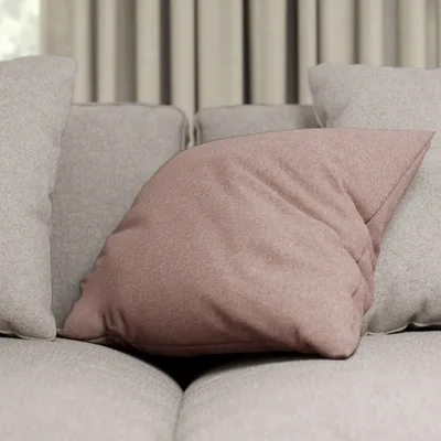 DOLLY THISTLE thumbnail 4