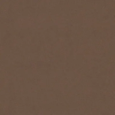 ECLIPSE-FR LATTE swatch