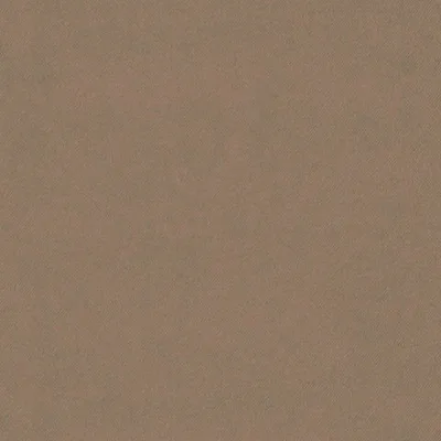 ECLIPSE-FR TAUPE swatch